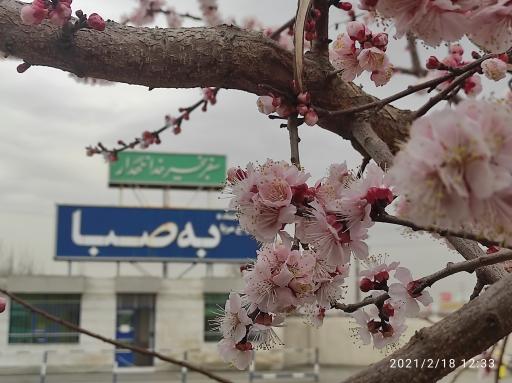 عکس کارخانجات تولیدی به صبا