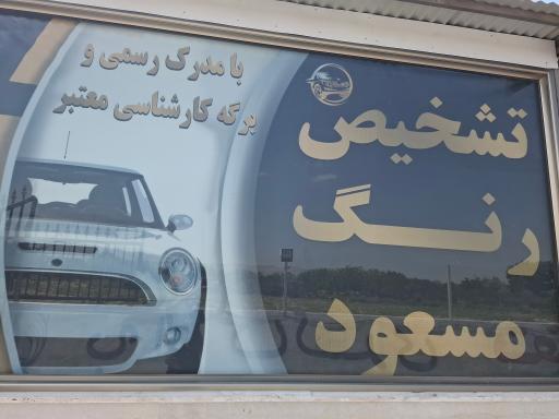 عکس تشخیص رنگ مسعود