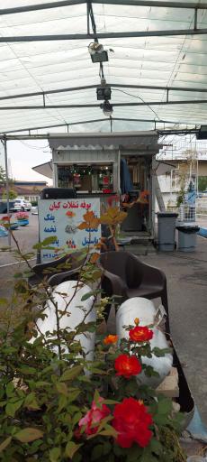 عکس کافه فست فود نارمک