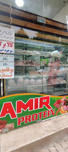 عکس امیر پروتئین 