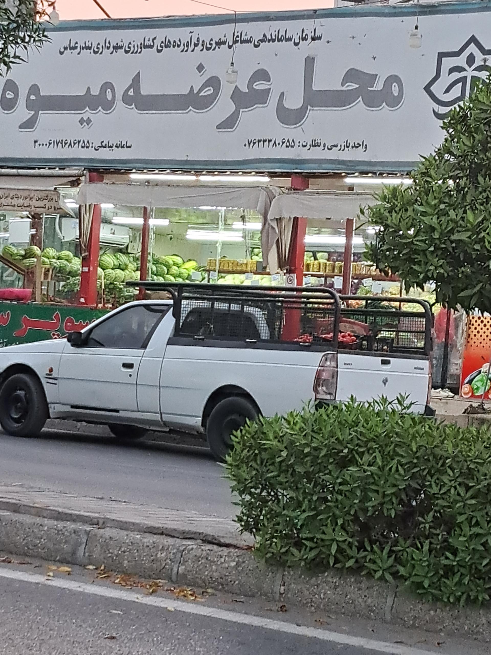 عکس محل عرضه میوه 