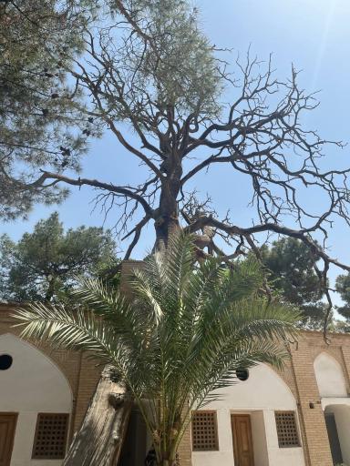 عکس آرامستان تخت فولاد