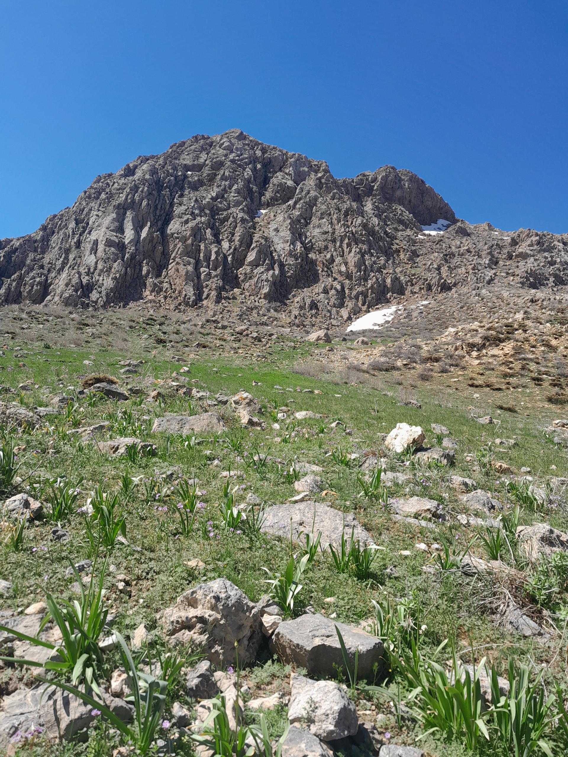 عکس سراب زرشکه