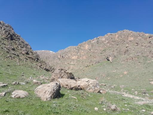 عکس سراب زرشکه