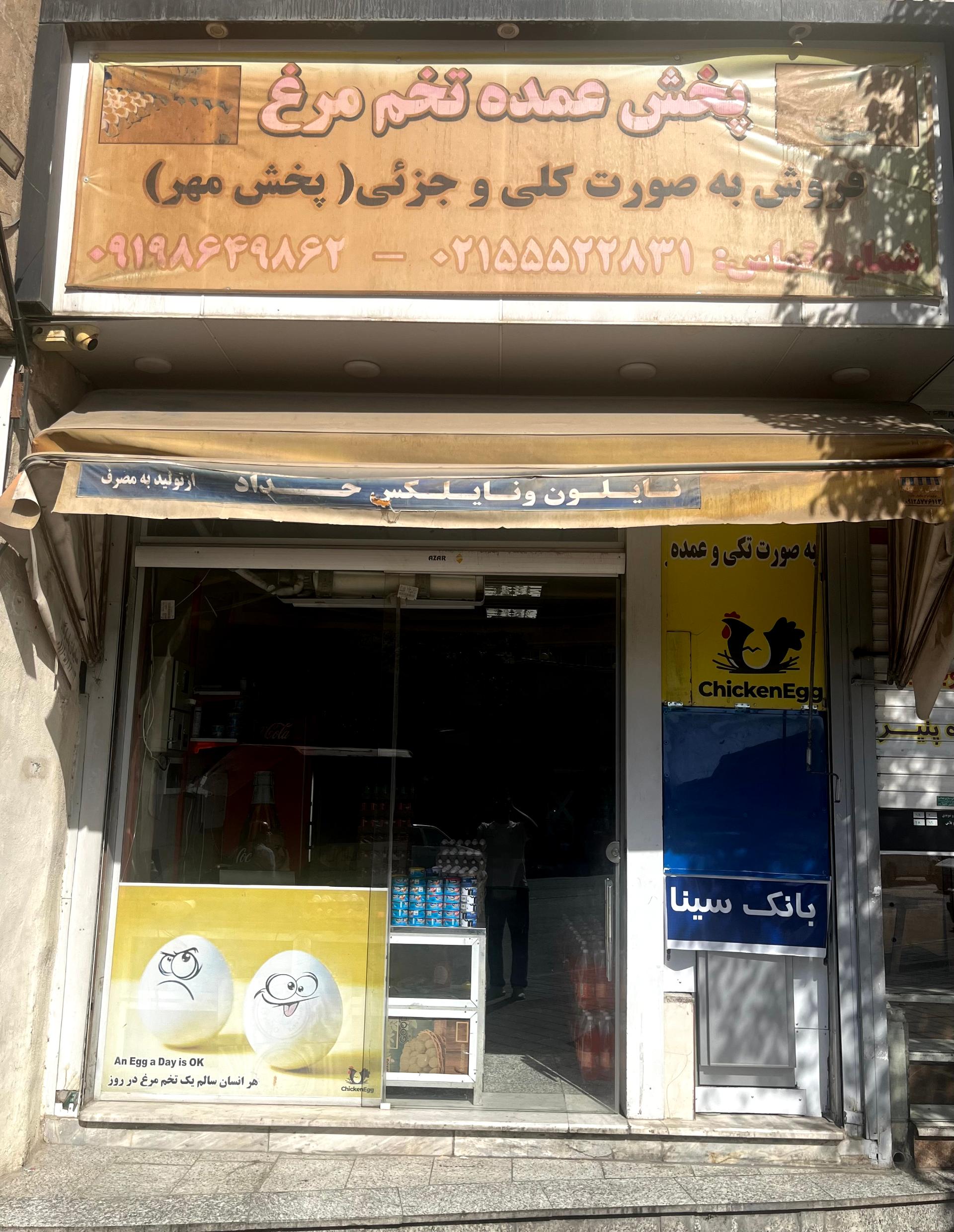 عکس پخش تخم مرغ مهر