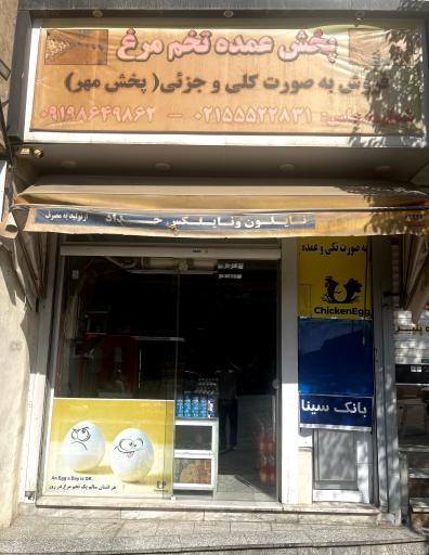 عکس پخش تخم مرغ مهر