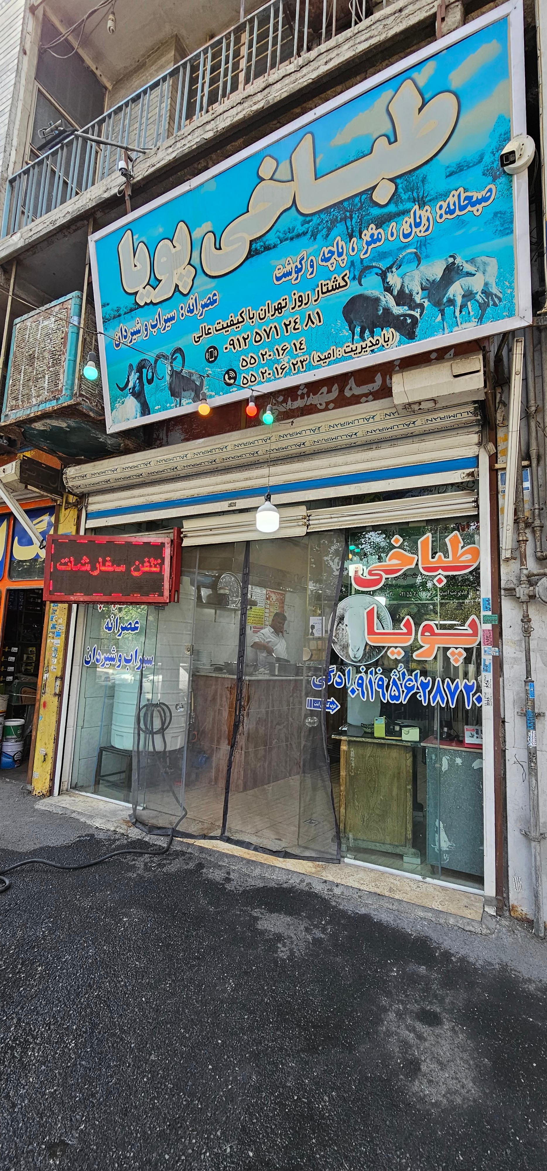 عکس طباخی پویا