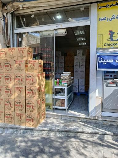 عکس پخش تخم مرغ مهر