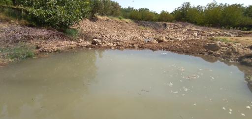 عکس سراب زرشکه
