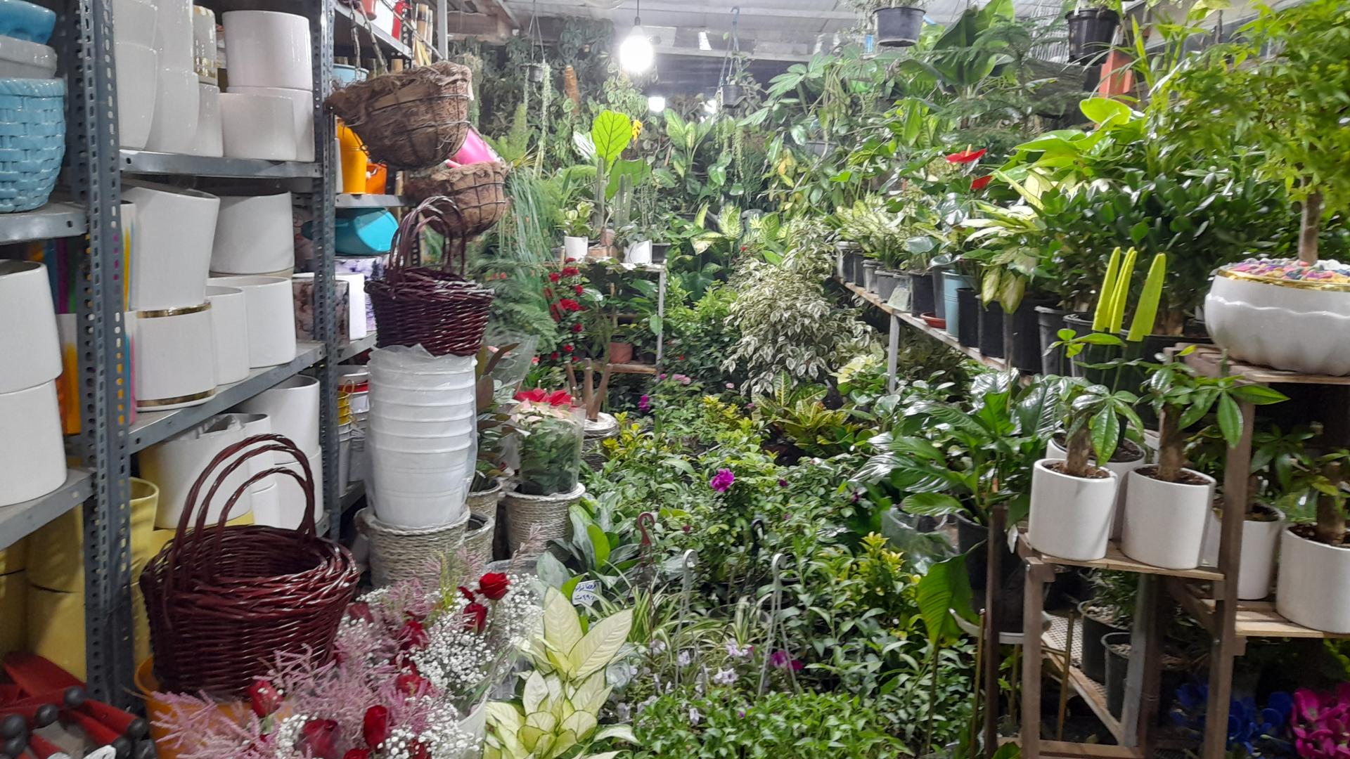 عکس گلفروشی باکری