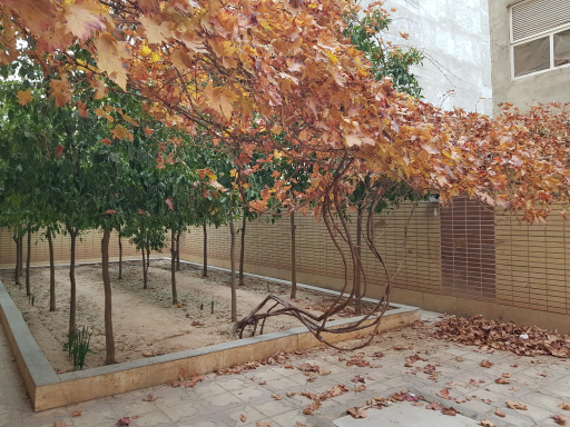 عکس مجتمع مسکونی فدک ۱