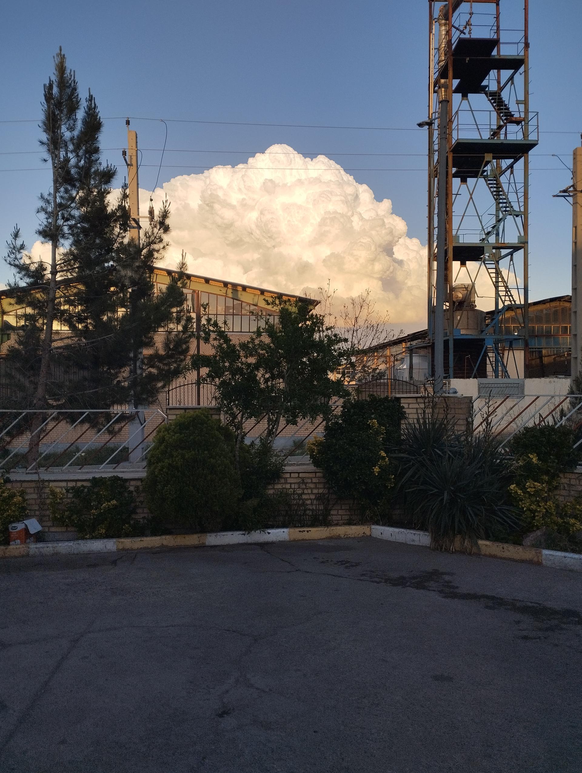 عکس رایکا پخت ایرانیان