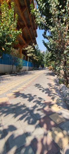 عکس بوستان صداقت