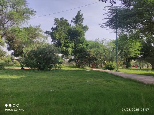 عکس پارک مسافر