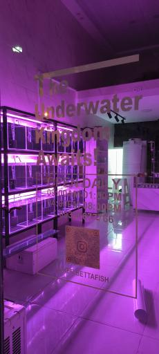 عکس آکواریوم بتافیش