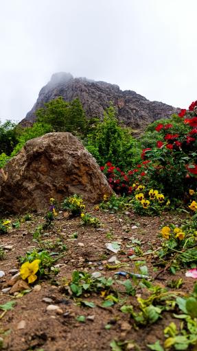 عکس بوستان آفتاب