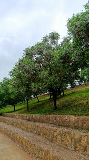 عکس بوستان آفتاب