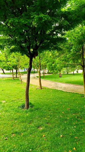 عکس بوستان آفتاب