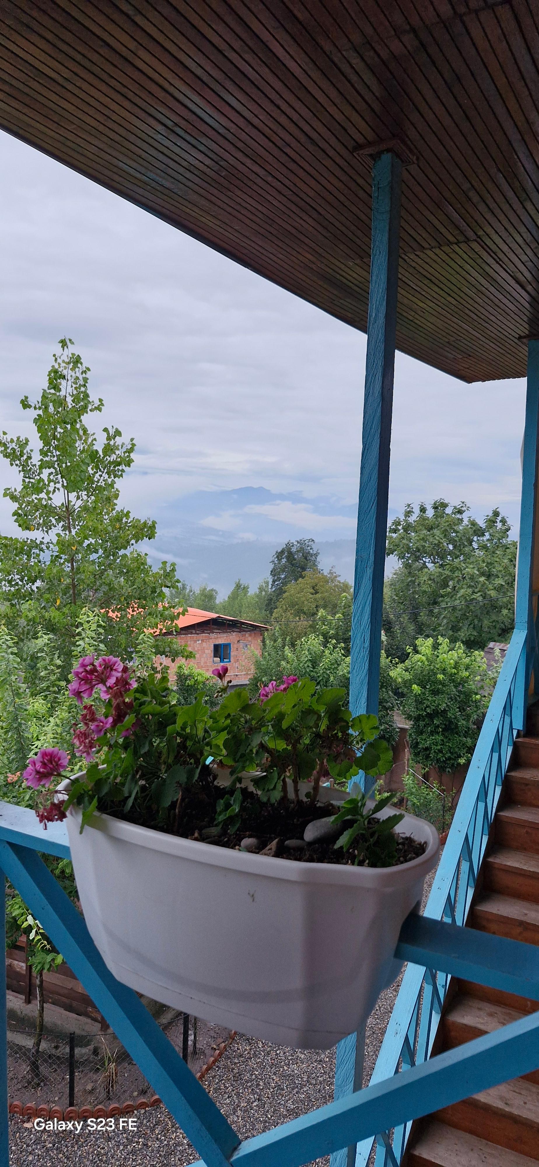 عکس بومگردی ماه سره