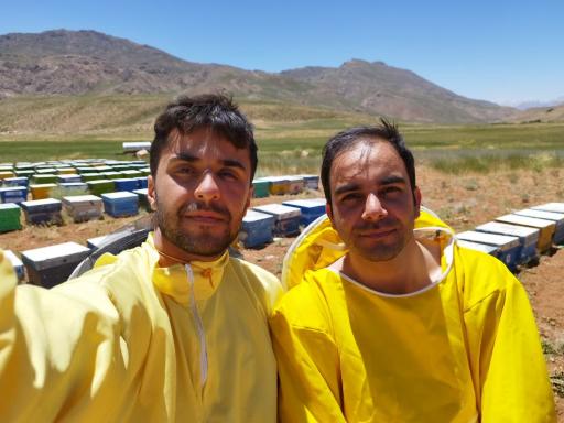 عکس عسل فروشی نیک و نیکو