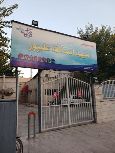 عکس مجموعه ورزشی اسدالله علیپور 
