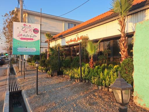 عکس نمایشگاه گل و گیاه الارز