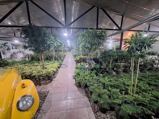 عکس نمایشگاه گل و گیاه الارز