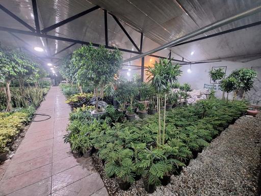 عکس نمایشگاه گل و گیاه الارز