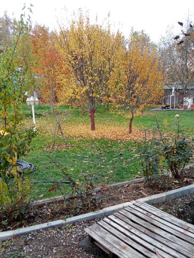 عکس بوستان روح افزا