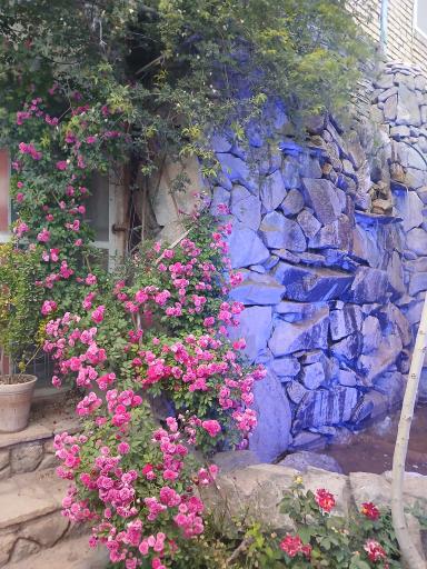 عکس لمکده شبهای دولت آباد