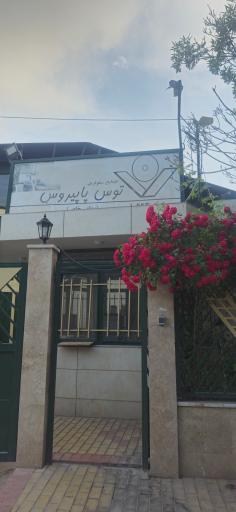 عکس صنایع سلولزی توس پاپیروس