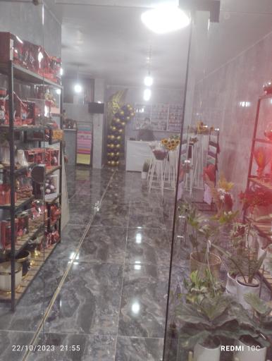 عکس گل فروشی آرنیکا