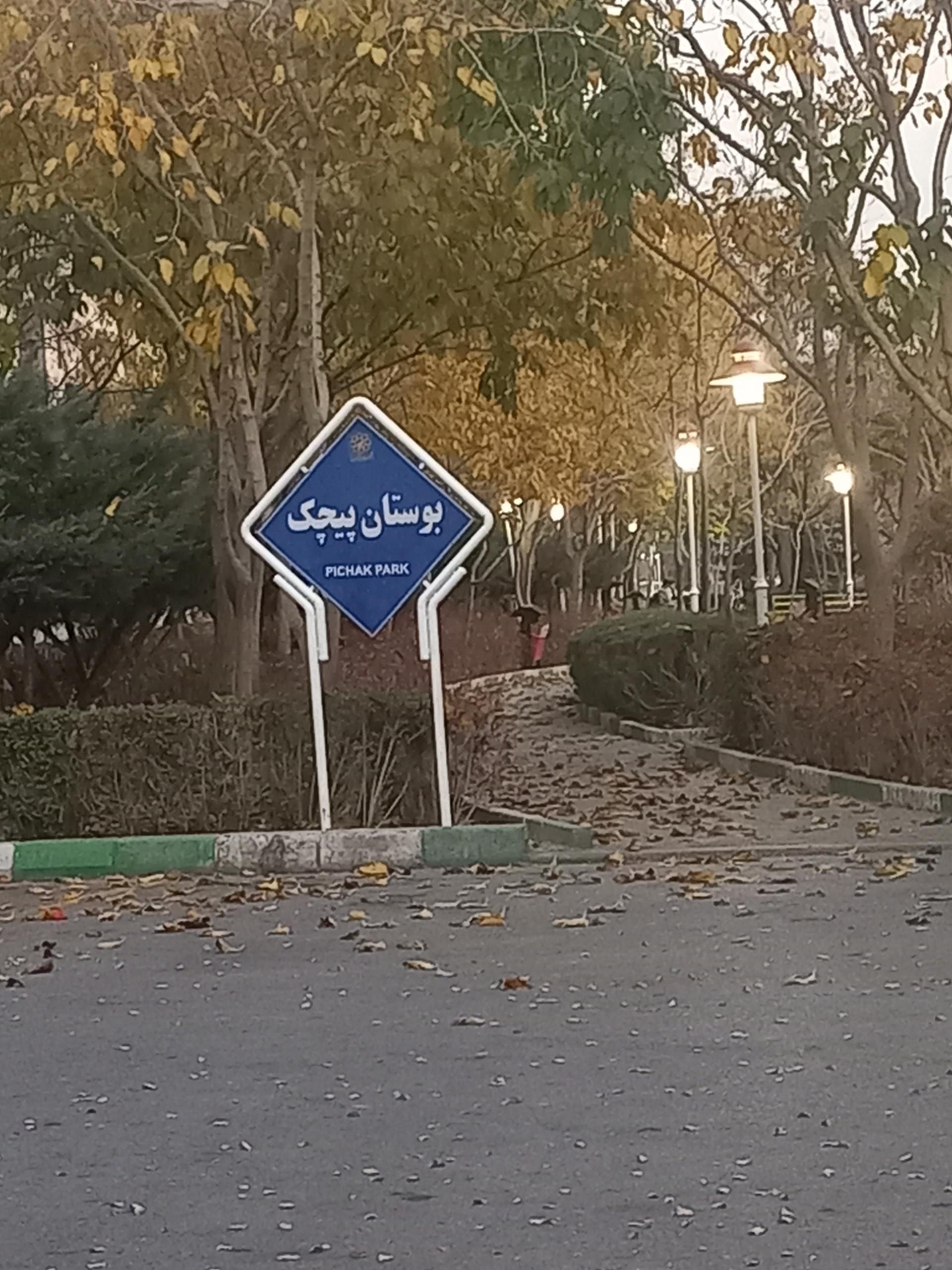عکس بوستان پیچک
