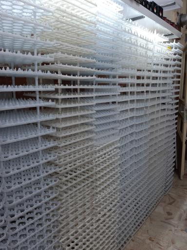 تولید و پخش تجهیزات جوجه کشی پرطلا