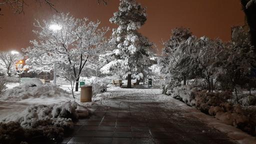 عکس بوستان ابن سینا