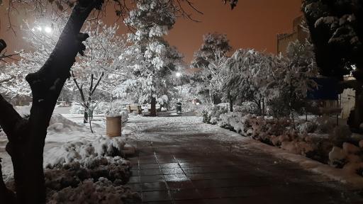 عکس بوستان ابن سینا