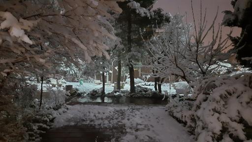 عکس بوستان ابن سینا