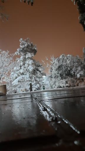 عکس بوستان ابن سینا