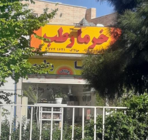 عکس خرما و رطب چالاک