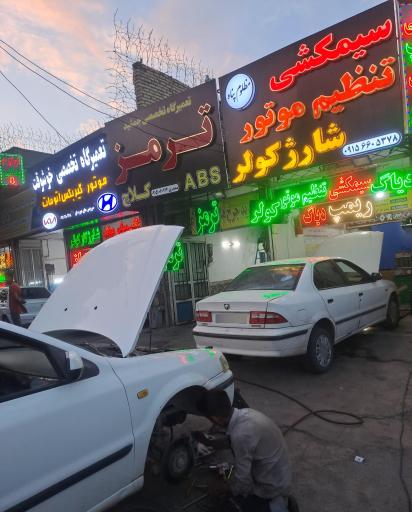 عکس برق خودرو های ایرانی و چینی مظلوم پناه