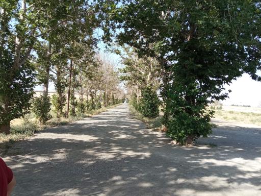 عکس مرغداری شفق