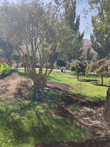 عکس پارک صدف