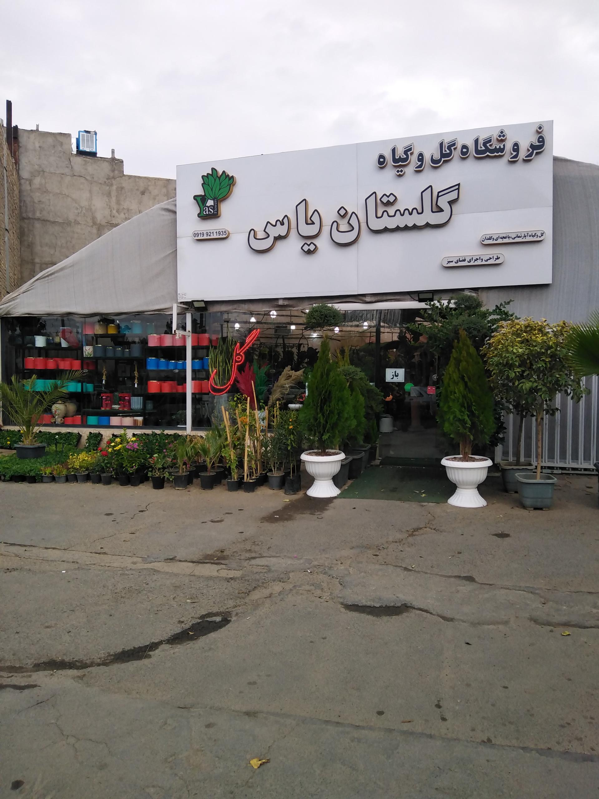 عکس گلستان یاس