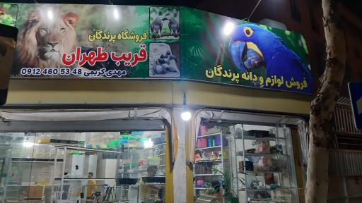 عکس فروشگاه پرندگان و حیوانات خانگی قریب طهران