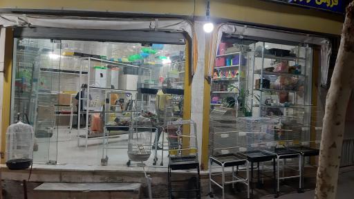 عکس فروشگاه پرندگان و حیوانات خانگی قریب طهران