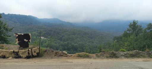 عکس سالن ورزشی شهدا اقتدار شهریار