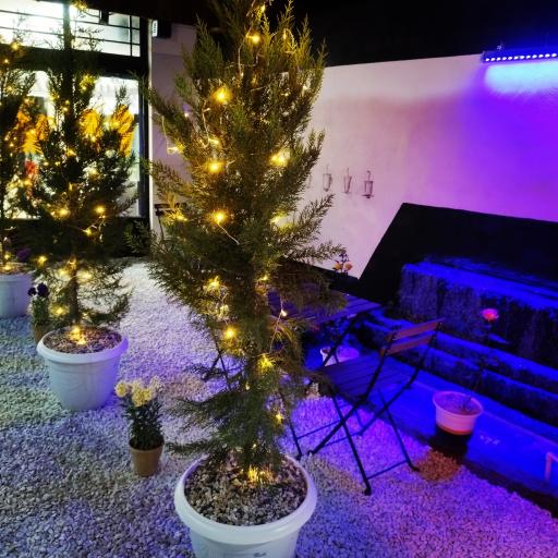 عکس کافی شاپ پردیس