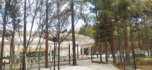 عکس ورودی تله کابین کرمان