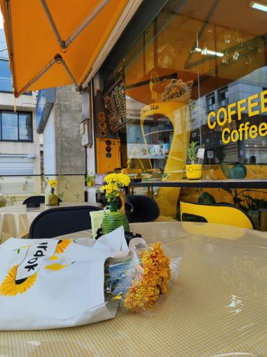 عکس کافه زردوک