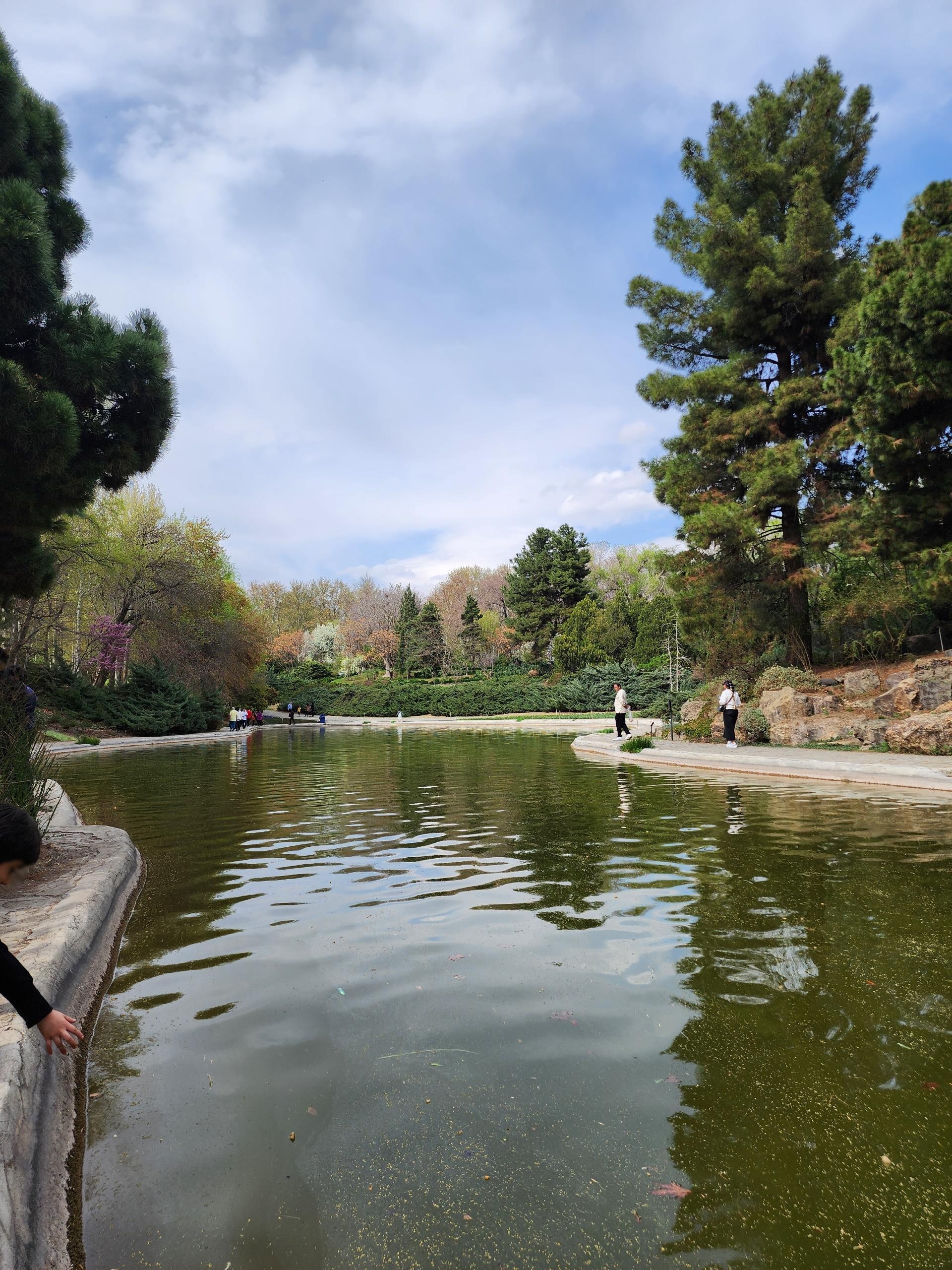 عکس باغ صخره ای